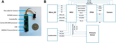 Ear canal pressure sensor for food intake detection